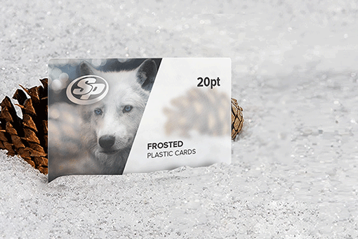 Frosted Plastic  Business Cards